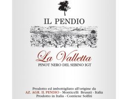 Immagine 1 di PINOT NERO DEL SEBINO I.G.T. LA VALLETTA