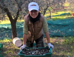 Immagine 3 di EXTRAVERGINE DI OLIVA DEA COLLINE GUARDIA SANFRAMONDI DI CATEGORIA SUPERIORE