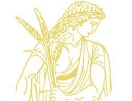 Immagine 5 di EXTRAVERGINE DI OLIVA DEA COLLINE GUARDIA SANFRAMONDI DI CATEGORIA SUPERIORE