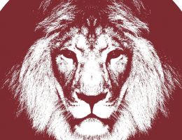 Immagine 2 di DORATA STILE BLONDE BIRRIFICIO ARTIGIANALE VIADANESE