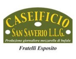 Immagine 2 di MOZZARELLA DI BUFALA CAMPANA D.O.P.