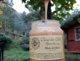 Immagine 3 di MIELE PURO DI EDERA