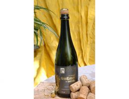 Immagine 1 di GRAN BIANCO DI QUISTELLO I.G.T. FRIZZANTE CANTINA SOCILAE DI QUISTELLO