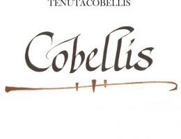 Immagine 1 di PAESTUM ROSSO I.G.T. VIGNA DEI RUSSI