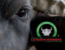 Immagine 5 di MOZZARELLA DI BUFALA  CAMPANA D.O.P. LA NUOVA MASSERIA