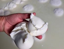 Immagine 1 di MOZZARELLA DI BUFALA  CAMPANA D.O.P. LA NUOVA MASSERIA