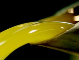 Immagine 1 di OLIO EXTRAVERGINE DI OLIVA COLLI EUGANEI D.O.P. QUALITA' SUPERIORE