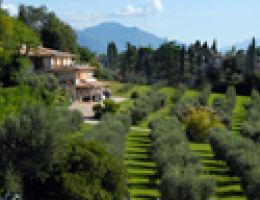 Immagine 3 di OLIO EXTRAVERGINE DI OLIVA  D.O.P. GARDA BRESCIANO DI CATEGORIA SUPERIORE NONNA BETTINA