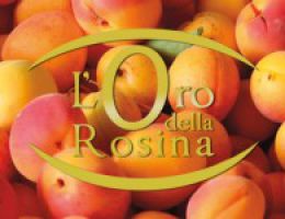 Immagine 2 di SUCCO E POLPA DI ALBICOCCA