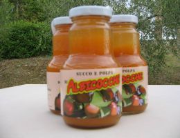 Immagine 1 di SUCCO E POLPA DI ALBICOCCA