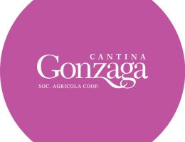 Immagine 2 di LAMBRUSCO MANTOVANO D.O.P. ROSSO MANTE' CANTINA SOCIALE DI GONZAGA