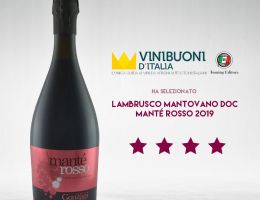 Immagine 1 di LAMBRUSCO MANTOVANO D.O.P. ROSSO MANTE' CANTINA SOCIALE DI GONZAGA