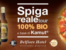 Immagine 1 di BIRRA SPIGA REALE