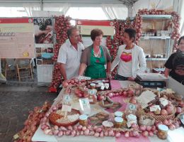 Immagine 2 di CIPOLLA DI ALIFE