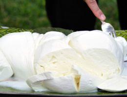 Immagine 1 di MOZZARELLA DI BUFALA CAMPANA D.O.P.