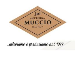 Immagine 3 di SALCICCIA ROSSA DI CASTELPOTO DA SUINO DEL VELLO PEZZATO