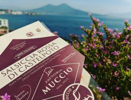 Immagine 5 di SALCICCIA ROSSA DI CASTELPOTO DA SUINO DEL VELLO PEZZATO