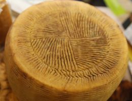 Immagine 1 di CANESTRATO SCURO