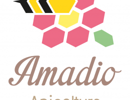 Immagine 2 di MIELE DI ACACIA MANTOVANO APICOLTURA AMADIO