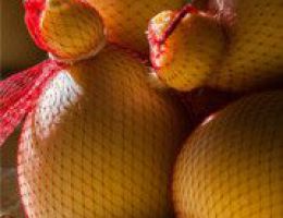 Immagine 2 di CACIOCAVALLO DI CASTELFRANCO IN MISCANO