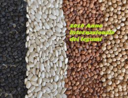 Immagine 1 di CECI BIANCHI DELLE COLLINE CAIATINE LESSATI