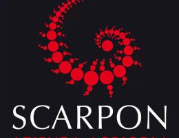 Immagine 3 di OLIO EXTRAVERGINE DI OLIVA COLLI EUGANEI D.O.P.