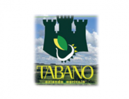 Immagine 2 di MARRONE DI ROCCADASPIDE I.G.P.