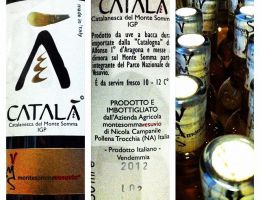 Immagine 3 di CATALANSCA I.G.P. MONTE SOMMA CATALA'