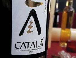 Immagine 1 di CATALANSCA I.G.P. MONTE SOMMA CATALA'