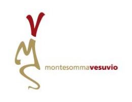 Immagine 2 di CATALANSCA I.G.P. MONTE SOMMA CATALA'