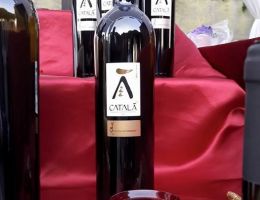 Immagine 4 di CATALANSCA I.G.P. MONTE SOMMA CATALA'