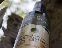 Immagine 2 di OLIO EXTRAVERGINE DI OLIVA COLLI EUGANEI D.O.P.