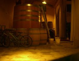 Immagine 3 di COLLI EUGANEI ROSSO D.O.C. CALAONE