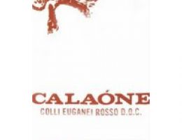 Immagine 5 di COLLI EUGANEI ROSSO D.O.C. CALAONE