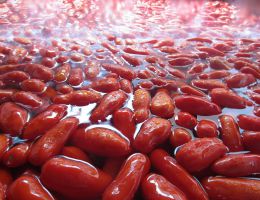 Immagine 4 di POMODORINI DI GRAGNANO