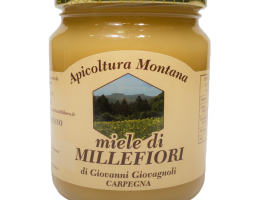 Immagine 1 di MIELE DI MILLEFIORI MARCHIAGIANO