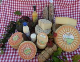 Immagine 1 di GRANA DESY