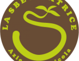 Immagine 5 di PASSATA DI POMODORO RICCIO