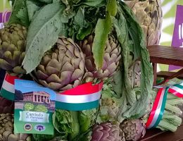 Immagine 1 di CARCIOFO DI PAESTUM I.G.P.