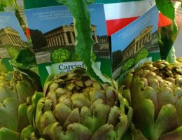 Immagine 2 di CARCIOFO DI PAESTUM I.G.P.