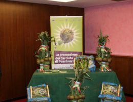 Immagine 3 di CARCIOFO DI PAESTUM I.G.P.