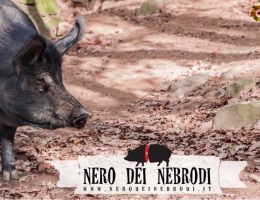 Immagine 3 di PROSCIUTTO CRUDO DI SUINO NERO DEI NEBRODI