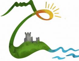 Immagine 3 di OLIO EXTRAVERGINE DI OLIVA D.O.P. CILENTO CULTIVAR PISCIOTTONA CATEGORIA SUPERIORE