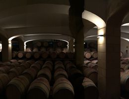 Immagine 2 di SICILIA CATARRATTO D.O.C. ISULA