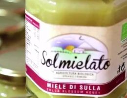 Immagine 1 di MIELE BIO DI SULLA ALLE PENDICI DEL LATO SUD DEL VULCANO ETNA