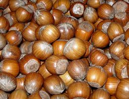 Immagine 1 di Nocciole Bio Tonde di Sicilia