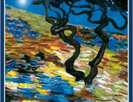 Immagine 3 di OLIO EXTRAVERGINE  DI OLIVA BLEND DI ALTA QUALITA'  PREZIOSO MARCO DONATI