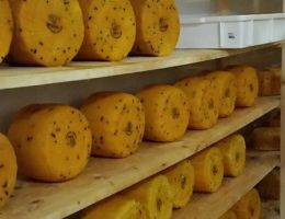 Immagine 3 di PIACENTINU ENNESE D.O.P.