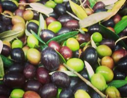 Immagine 2 di OLIO EXTRAVERGINE DI OLIVA QUALITA' SUPERIORE