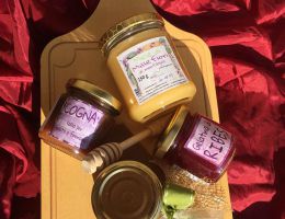 Immagine 1 di MIELE DELLA VAL SUSA DI QUALITA' SUPERIORE AGRINOVA